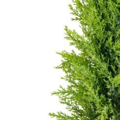 Northlight 17" Upswept Frosted Cedar Artificial Christmas Tree - unlit