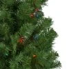 Northlight 6' Pre-Lit Alberta Pine Slim Artificial Christmas Tree - Multi Lights