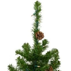 Northlight 3' Pre-Lit Canadian Pine with Pine Cones Artificial Christmas Tree - Clear Lights