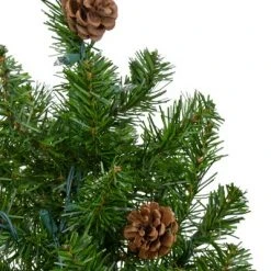 Northlight 3' Pre-Lit Canadian Pine with Pine Cones Artificial Christmas Tree - Clear Lights -Christmas Trees Sales Store unnamed file 4350