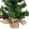 Northlight 16" Potted Red Berries and Pine Cones Medium Artificial Christmas Tree – Unlit
