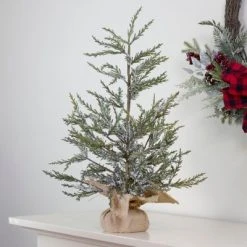 Northlight 2' Unlit Artificial Christmas Tree MediumPotted Iced Cedar Pine