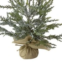Northlight 2' Unlit Artificial Christmas Tree MediumPotted Iced Cedar Pine -Christmas Trees Sales Store unnamed file 4667