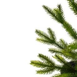 Northlight 2' Potted Pine Medium Artificial Christmas Tree – Unlit -Christmas Trees Sales Store unnamed file 4697