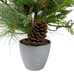 Northlight 2' Potted Mixed Pine, Cedar and Twig Artificial Christmas Tree - Unlit