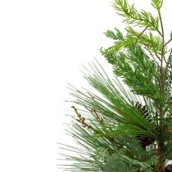 Northlight 2' Potted Mixed Pine, Cedar and Twig Artificial Christmas Tree - Unlit -Christmas Trees Sales Store unnamed file 4909