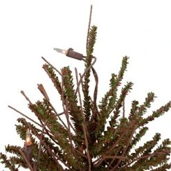 Northlight 2' Prelit Artificial Christmas Tree Warsaw Twig in Burlap Base - Clear Lights -Christmas Trees Sales Store unnamed file 4954