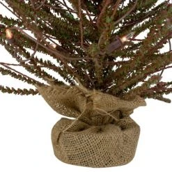 Northlight 2' Prelit Artificial Christmas Tree Warsaw Twig in Burlap Base - Clear Lights -Christmas Trees Sales Store unnamed file 4955