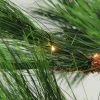 Northlight 7' Prelit Artificial Christmas Tree Long Needle Pine - Warm Clear Micro Rice LED Lights