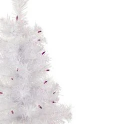 Northlight 2' Pre-lit Rockport White Pine Artificial Christmas Tree, Purple Lights 7 Northlight 2' Pre-lit Rockport White Pine Artificial Christmas Tree, Purple Lights -Christmas Trees Sales Store unnamed file 5049