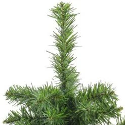 Northlight 2' Medium Canadian Pine Artificial Christmas Tree - Unlit