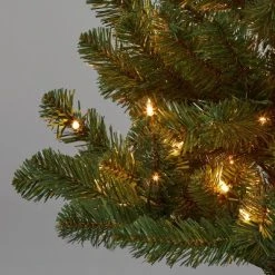 4' Pre-Lit Alberta Spruce Potted Artificial Christmas Tree Clear Lights - Wondershop™