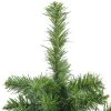 Northlight 18" Medium Canadian Pine Artificial Christmas Tree - Unlit