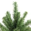 Northlight 24" Traditional Mini Pine Artificial Christmas Tree, Unlit
