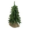 Northlight 12" Potted Downswept Mini Village Pine Medium Artificial Christmas Tree - Unlit