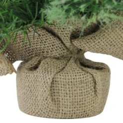 Northlight 24" Mixed Cashmere Pine Medium Artificial Christmas Tree in Burlap Base - Unlit -Christmas Trees Sales Store unnamed file 5303
