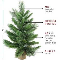 Northlight 24" Mixed Cashmere Pine Medium Artificial Christmas Tree in Burlap Base - Unlit -Christmas Trees Sales Store unnamed file 5304
