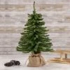 Northlight 18" Potted Downswept Mini Village Pine Medium Artificial Christmas Tree, Unlit