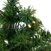 Northlight 2' Pre-Lit Medium Mixed Classic Pine Artificial Christmas Tree - Warm White LED Lights