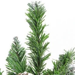 Northlight 24" Frosted Norway Pine with Pine Cones Medium Artificial Christmas Tree - Unlit