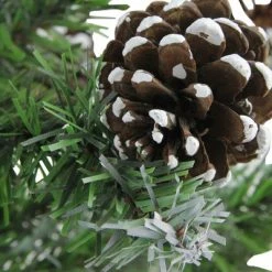 Northlight 24" Frosted Norway Pine with Pine Cones Medium Artificial Christmas Tree - Unlit -Christmas Trees Sales Store unnamed file 5325