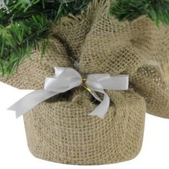 Northlight 24" Frosted Norway Pine with Pine Cones Medium Artificial Christmas Tree - Unlit -Christmas Trees Sales Store unnamed file 5326