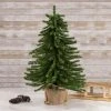 Northlight 2' Potted Downswept Mini Village Pine Medium Artificial Christmas Tree, Unlit