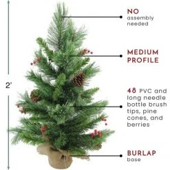 Northlight 24" Mixed Cashmere Berry Pine Medium Artificial Christmas Tree - Unlit 9 Northlight 24" Mixed Cashmere Berry Pine Medium Artificial Christmas Tree - Unlit -Christmas Trees Sales Store unnamed file 5367