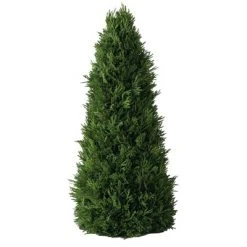 Sullivans Artificial Cedar Tree 22"H Green 7 Sullivans Artificial Cedar Tree 22"H Green -Christmas Trees Sales Store unnamed file 539