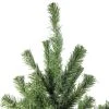 Northlight 4' Canadian Pine Medium Artificial Christmas Tree, Unlit