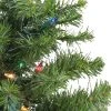 Northlight 2' Pre-Lit Medium Canadian Pine Artificial Christmas Tree, Multi Lights