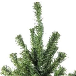 Northlight 5' Canadian Pine Medium Artificial Christmas Tree - Unlit