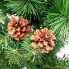 Northlight 23.5" LED Lighted Mixed Pine and Pine Cones Artificial Christmas Tree in Jute Base