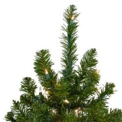 Northlight 18" Pre-Lit Medium Canadian Pine Artificial Christmas Tree - Clear Lights 8 Northlight 18" Pre-Lit Medium Canadian Pine Artificial Christmas Tree - Clear Lights -Christmas Trees Sales Store unnamed file 5503