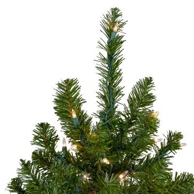 Northlight 18" Pre-Lit Medium Canadian Pine Artificial Christmas Tree - Clear Lights 3 Northlight 18" Pre-Lit Medium Canadian Pine Artificial Christmas Tree - Clear Lights - Image 3