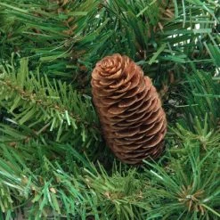 Northlight 4' x 30" Dakota Red Pine Full Artificial Christmas Tree with Pine Cones - Unlit