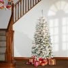 National Tree Company Pre-Lit Medium Flocked Acacia Hinged Artificial Christmas Tree Clear Lights