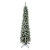 Northlight 6' Flocked Traditional Green Pine Pencil Artificial Christmas Tree - Unlit