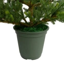 Northlight 4' Potted Noble Pine Artificial Christmas Tree - Unlit -Christmas Trees Sales Store unnamed file 5902