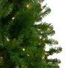 Northlight 4' Pre-Lit Northern Pine Full Artificial Christmas Tree - Clear Lights