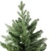 Northlight 6' Mixed Eden Pine Artificial Christmas Tree - Unlit