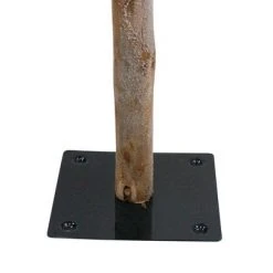 Northlight 6ft Flocked Alpine Artificial Christmas Tree - Unlit 9 Northlight 6ft Flocked Alpine Artificial Christmas Tree - Unlit -Christmas Trees Sales Store unnamed file 6061