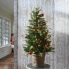 National Tree Company 4' Pre-Lit LED Feel Real Scotch Creek Fir Potted Artificial Christmas Tree White Lights
