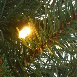 National Tree Company 4' Pre-Lit LED Feel Real Scotch Creek Fir Potted Artificial Christmas Tree White Lights -Christmas Trees Sales Store unnamed file 6126