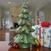 National Tree Company 22" Lighted Christmas Tree