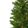 Northlight 6.5' Pre-Lit Canadian Pine Artificial Pencil Christmas Tree - Multi Lights