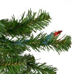 Northlight 6.5' Pre-Lit Canadian Pine Artificial Pencil Christmas Tree - Multi Lights 7 Northlight 6.5' Pre-Lit Canadian Pine Artificial Pencil Christmas Tree - Multi Lights -Christmas Trees Sales Store unnamed file 6205