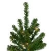 Northlight 6.5' Pre-Lit Canadian Pine Artificial Pencil Christmas Tree - Clear Lights