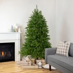 Northlight 6.5' Rockwood Pine Artificial Christmas Tree, Unlit