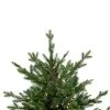 Northlight 4' Pre-Lit Potted Deluxe Russian Pine Artificial Christmas Tree, Warm White LED Lights